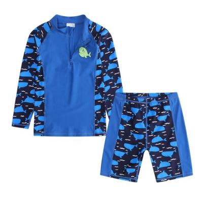 China Boutique Breathable Swimsuit Kids Pattern 50+UV Short Animal Printing Two Piece Set Printed Swimwear for sale