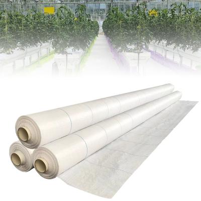 China Braid White Weed Mat Reflective Weed Barrier Woven Groundcover Custom Greenhouse Used For 20 Years for sale