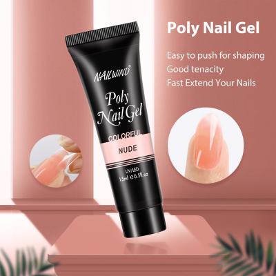 China Nail Art Beauty NAILWIND OEM Factory Price UV Gel Polish Set Poly Nail Extension 15g UV Led Nails Gel Polish 21 Colors Optional For Wholesale for sale