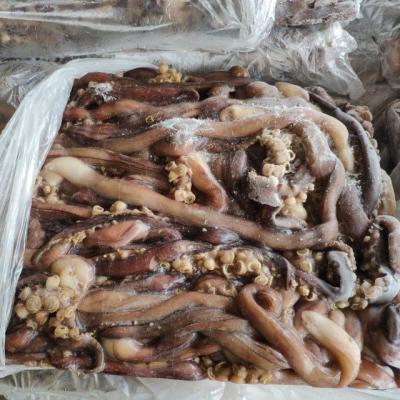 China Nutritious Variety Peruvian Giant Squid Frozen Tentacles for sale