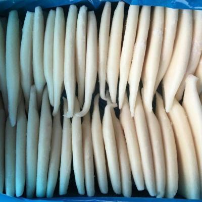 China Todarodes Squid Nutritious Frozen Tube for sale