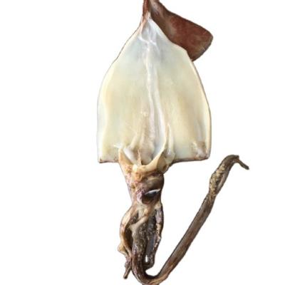 China Nutritious frozen Indian black squid fillet with tentacle for sale