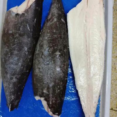 China china mahi nutritious frozen mahi seafrozen for sale