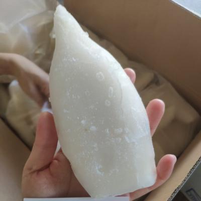 China Best nutritious frozen giant squid tube dosidicus giga for sale