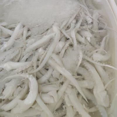 China Nutritious High Quality Frozen Indian Squid Skinoff Tentacle for sale