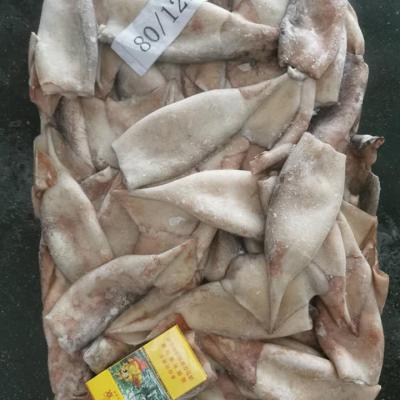 China Todarodes Squid Nutritious Frozen Tube for sale