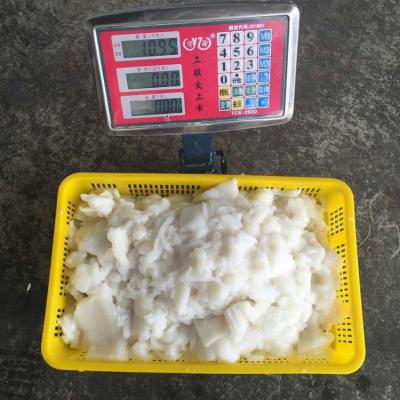 China Nutritious frozen giant squid pieces for fish ball for sale