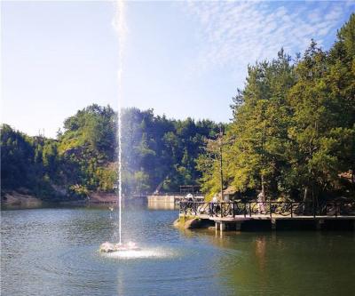 China Roestvrij Sproeifont Hotel Schreeuwende Spring Fountain Te koop