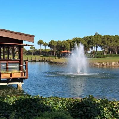 China Fonte flutuante a eletricidade para controle remoto de lago à venda