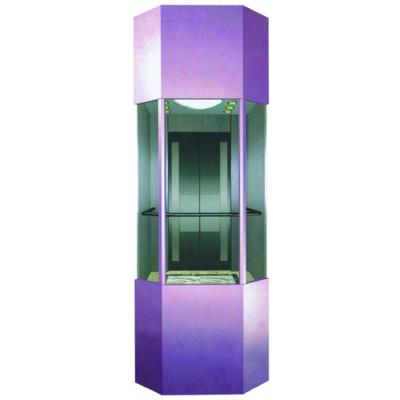 China Modern Fast Full View Sightseeing Commercial Glass Panoramic Market Elevator for sale