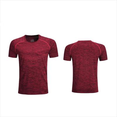 China Fitness Top Men Gym Short Sleeve Quick Dry Sportswear Summer Workout Breathable Shirt for sale