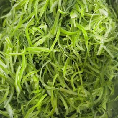 China Seaweed Slice Jelly Cut Salted JELLY Raw Material For Seaweed Salad for sale