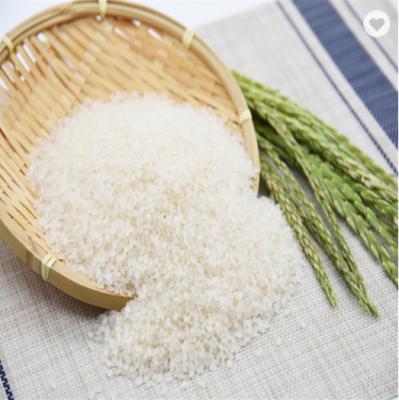 China Fresh quality Jasmine Rice/long grain fragrant rice/white rice for sushi wholesale for sale