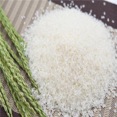 China Fresh Jasmine Rice/Long Grain Fragrant Rice/White Rice for sale