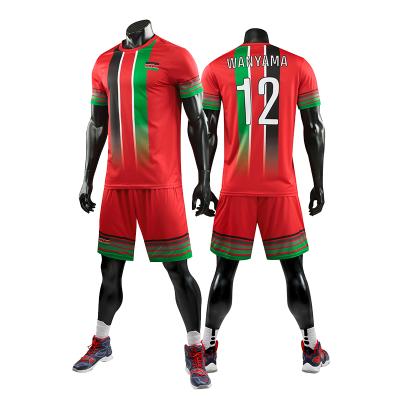 China LiDONG Men's Fashionable Antibacterial Football Wear Quick Dry Soccer Team Wear Brazil Soccer Jerseys for sale