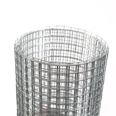 China Plain Weave Hot-dipped Galvanized Welded Wire Mesh Galvanized Iron Wire Welded Wire Mesh for sale