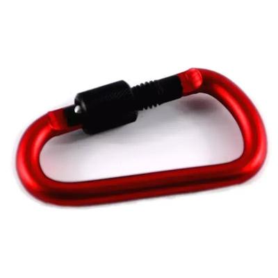 China Aluminium D Shape Carabiner Clip for Outdoor Climbing Survival Keychain Carabiner for sale