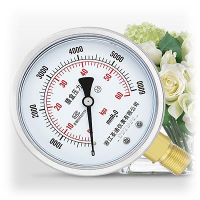 China Stainless Steel 100mm 2.5 Stainless Steel Case Copper Connection Gauge Pressure Gauge 100kpa for sale