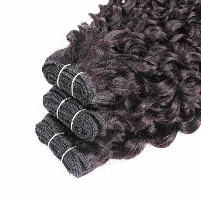 China Curly Water Wave Cuticle Alignment Water Wave Brazilian Virgin Human Remy Hair Wig for sale