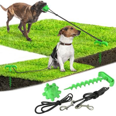 China Stocked Vend Good Outdoor Pet Fancy Dog Chew Durable Pegs Bungee Stretch Toy Washable for sale