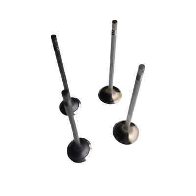 China steel 04E 109 601J 04E 109 611 L engine valves for different cars for sale