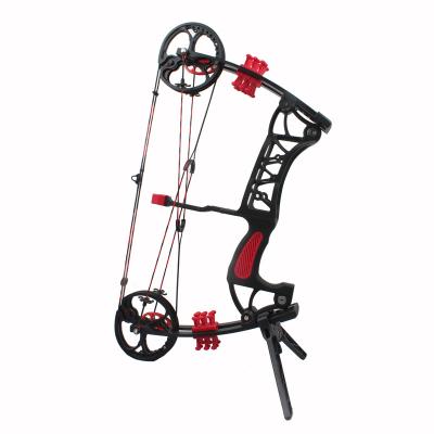 China Hunting Leixun Archery M106 Hunting Compound Bow Using Arrow And Steel Ball Triangle Bow To Shoot Black Color for sale