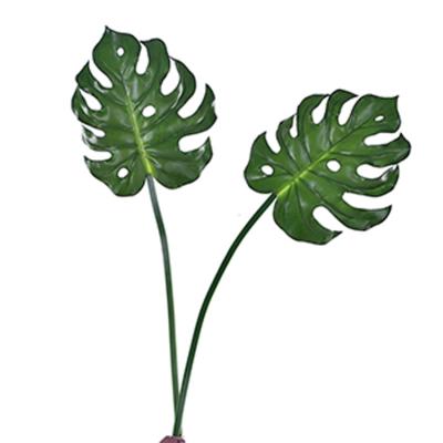 China Art Decor Real Touch Artificial Turtle Back Leaves and Green Gelatinized Monstera Leaf and Plastic Anthurium Plant for Home Room Decor for sale