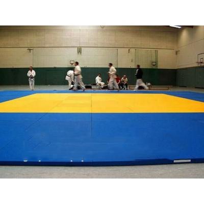 China New Product Eco-friendly Factory High Quality Leather PVC Judo Karate Mats High Quality Mopping Mats for sale