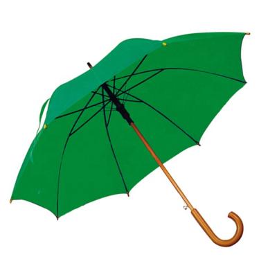 China Promotion Modern High Quality Custom Professional Gift Green Wooden Umbrella for sale