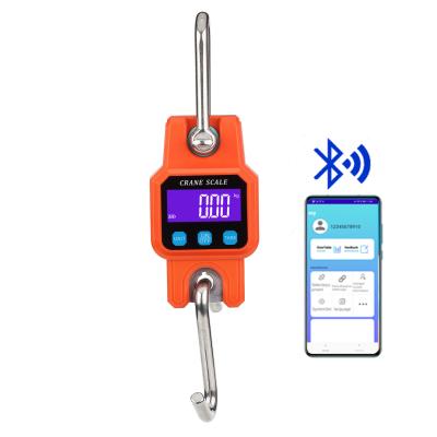 China Tare; Lock ; Automatic USB- WH-C06 Rechargeable 300KG Electronic Hanging Crane Weighing Scale 660LBS for sale