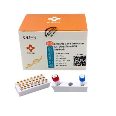 China Taqman Ehrlichia Canis Test Test-Kit Nucleic Acid-Verstärkung PCR Hunde- Hunde zu verkaufen