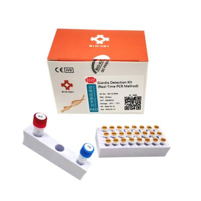 China PCR van de Testkit fluorescent probe canine dog van Hondgiardia de Test Kit Nucleic Acid Te koop