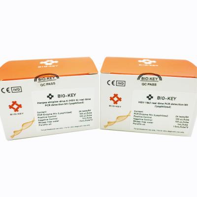 China Herpes Simplex Virus 6 HSV-6 96tests/Kit Real Time PCR Detection Kit Lyophilized for sale