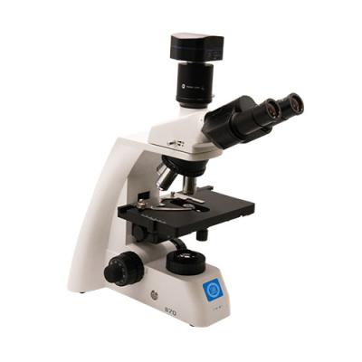 China Upright Biological Microscope B70 with Objective Turntable for sale