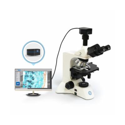 Chine 30° cylindre à trois yeux incliné microscope vertical B60 à vendre