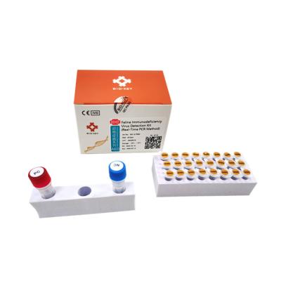 China Quantitative Feline FIV Test Kit Immunodeficiency Feline Cat Test PCR for sale