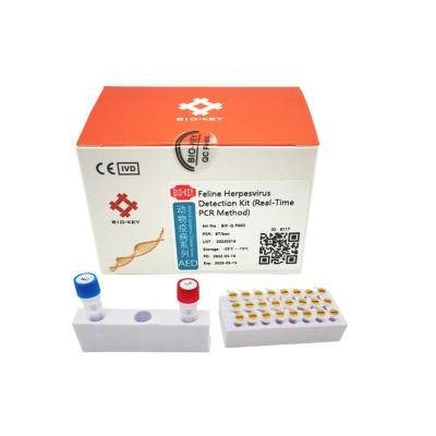 Cina Prova felina acida nucleica FHV RT Cat Genetic Testing Kit Fluorescence del herpesvirus in vendita