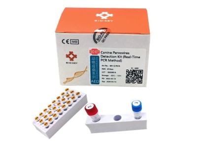 China CPV-Test Kit Quantitative Canine Parvovirus Test van de Fluorescentie de Hondshond Te koop