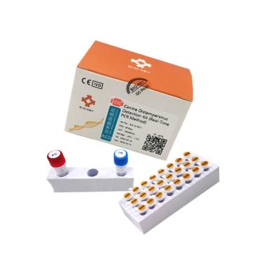 China Hundestaupe-Test-Kit Fluorescence QPCR CDV DNA-Hundeprüfungs-Ausrüstung zu verkaufen