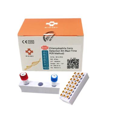 China Test-Kit Chlamydia Test Kit Fluorescence-Sonde QPCR Hunde- Hunde zu verkaufen