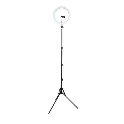 China hang ring light 12inch rotation lamp with tripod and 160cm 12inch phone holder for sale