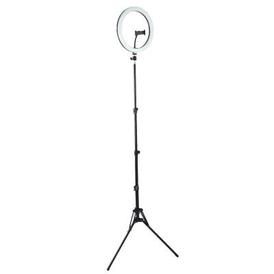 China 12 Inch USB Led Ring Fill Display With Light With 160cm 12Inch Reverse Tripod for sale