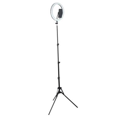 China LED Ring Light with Tripod Stand 12 Inch with Tripod Kit for Live Stream /Makeup 12Inch for sale