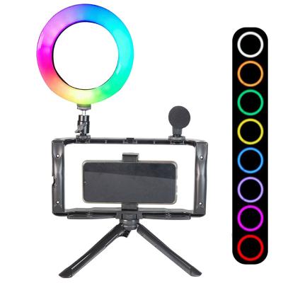 China PORTABLE Photographic Lighting Ring Light Video Microphone Rig Sufficiency Set LED RGB Selfie Vlogging Kits with Microphone for YouTube Tik Tok for sale