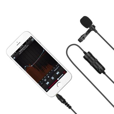 China Professional Lavalier Microphone Grade Lavalier Label Microphones Set For Dual Interview for sale