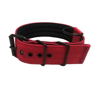 China 2 Inch Padded Adjustable Soft Neoprene Padded Nylon Pin Buckle Dog Collar for sale