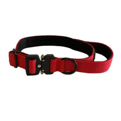 China 1 Inch Combat Padded Neoprene Padded Dog Collar for Small Breeds or Growing Dog for sale