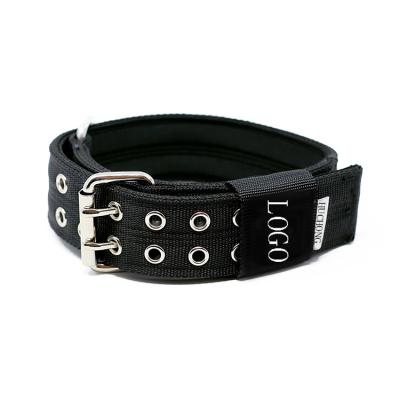 China 5cm Neoprene Dog Collar Sporty Nylon Double Padded Pin Buckle Dog Collar for sale