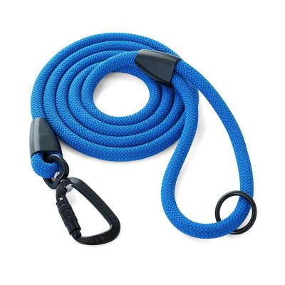 China Sustainable Premium Explorer Climbing Rope Dog Leash With Aviation Aluminum Carabiner for sale