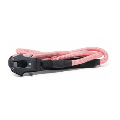 China Viable Heavy Duty Nylon Combat Frog Clip Solid Color Rope Training Dog Leash for sale